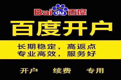 百度竞价托管外包案例：揭秘高效转化秘籍